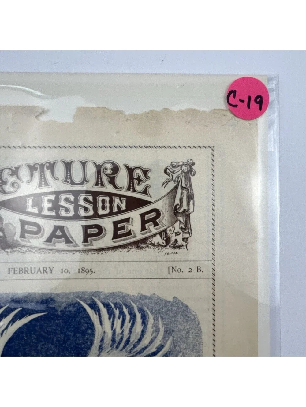 Antique 1895 Picture Lesson Paper Polly & Patsy Cockatoo Parrot Ephemera     C19